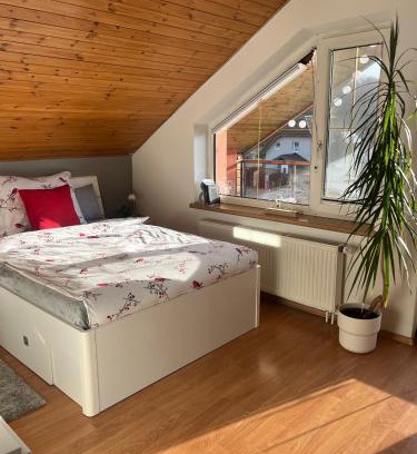 Ostrava Casa | Podkrovní apartmán s balkónem
