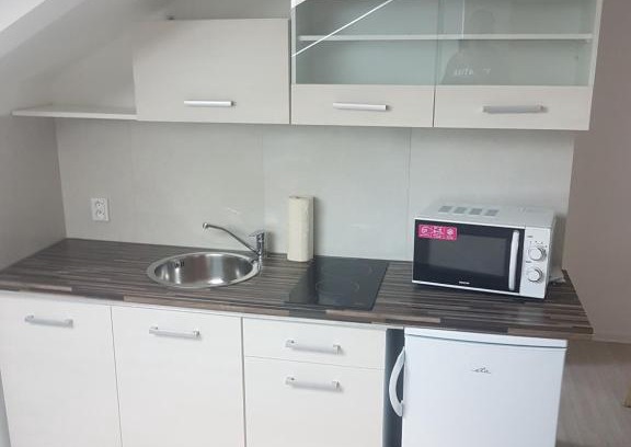 Uhersky Brod Apartamento | podkrvnī byt pro dva s kuchyňou