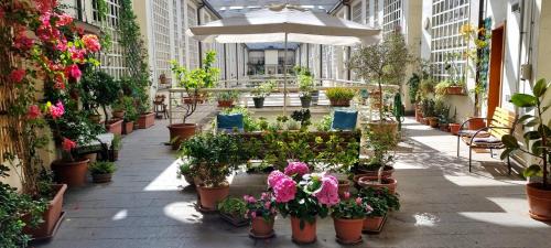 Prenestino-Labicano Apartamento | Poetico Monolocale Indipendente nell’Antico Pastificio