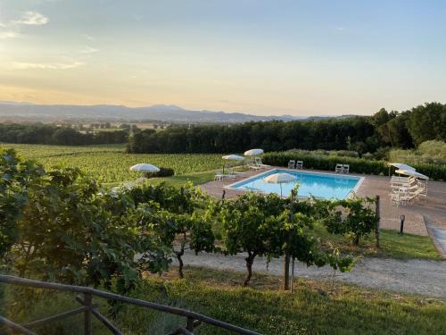 Torgiano Casa | Poggio alle Vigne