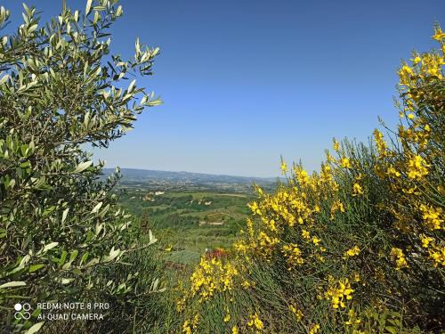 Magliano Apartamento | Poggio dei Carli