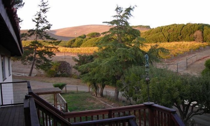 Point Reyes Station Cama Y Desayuno | Point Reyes Vineyard Inn
