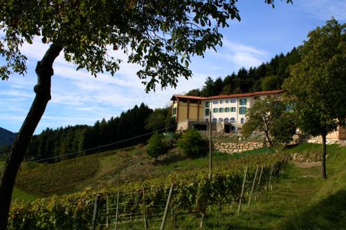 Pontida Casa | Polisena L'Altro Agriturismo Veg