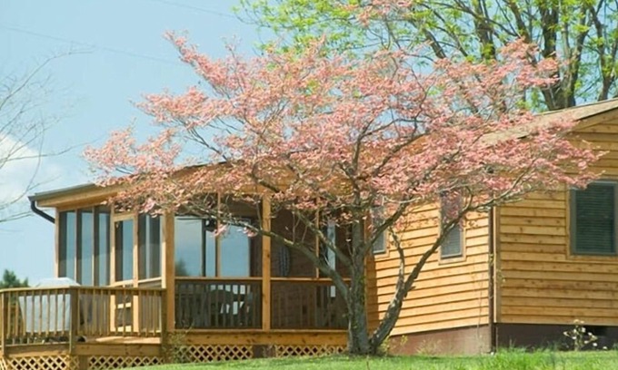 Gordonsville Cabaña | 'Pond House' - el enorme caballo de granja; Genial para familias jóvenes
