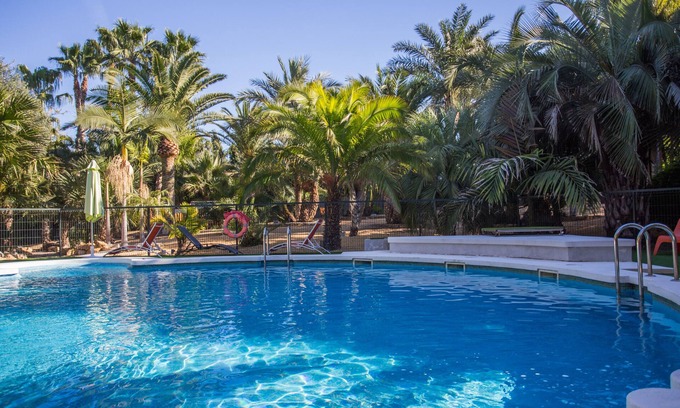 Alicante Apartamento | Piscina y Jacuzzi rodeados de palmeras, tranquilidad y aire libre
