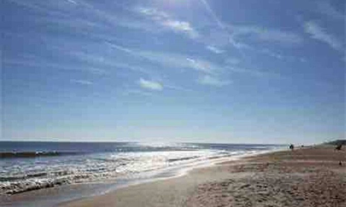 Dolphin's Cove Casa | Pool, Pet Friendly Home close to Mayo, TPC & Beach