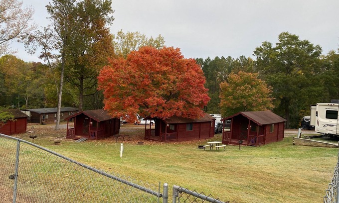 Salisbury Cabina | Poolside Rustic Cabin- Cabin 4