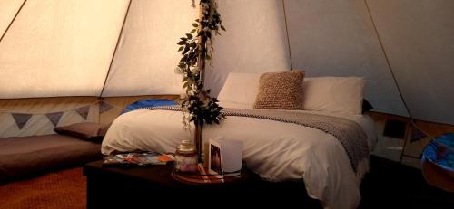 Pembroke Otro | Pop up Pembrokeshire