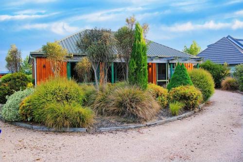 Hanmer Springs Casa | Popular Family and Pet friendly Modern Cosy Bach WiFi
