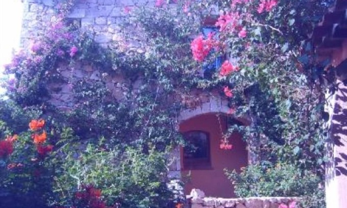 Porto Cervo Villa | PORTO CERVO: Villa con 3 dormitorios, 2 baños, amplia terraza, piscina en condominio