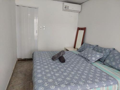 San Luis Apartamento | Posada Coco Down Town