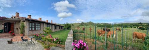 Orena Casa | Posada La Roblera