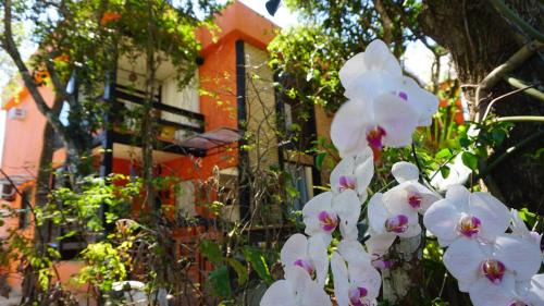 Cabo Frio Casa | Pousada Casa Di Gaya Guesthouse
