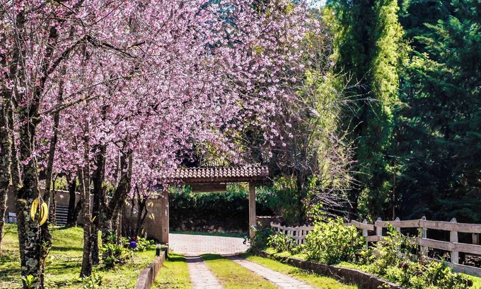 Goncalves Hotel | Pousada das Flores
