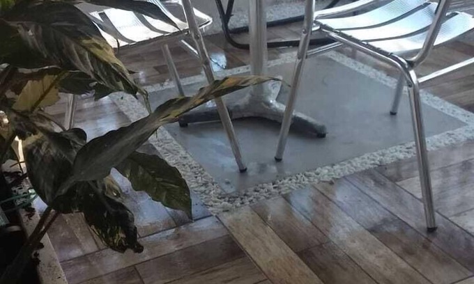 Pitangueiras Hotel | Pousada Morada da Praia
