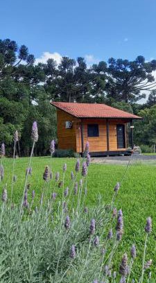 Urubici Apartamento | Pousada Morro dos Pinhais