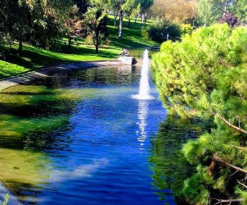 San Isidro Apartamento | Pradera de San Isidro