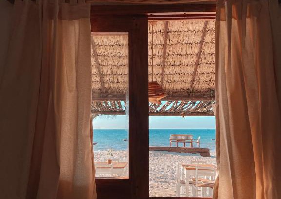 Prea Casa | Preá Blue