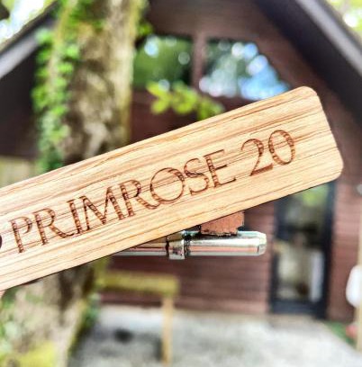 Llanybri Chalet De Esquí | Primrose 20-Woodland Lodges-Carmarthen-Pembroke