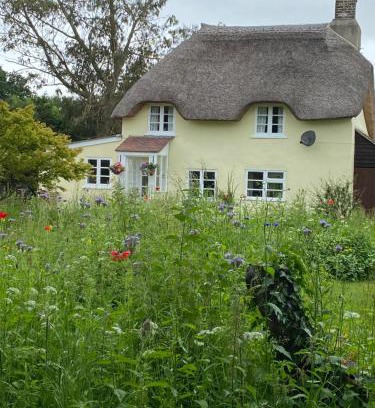 Holworth Casa | Primrose Cottage