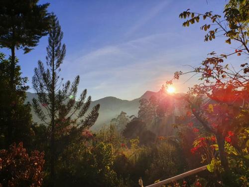 Dickoya Casa | Princess of Dickoya Homestay