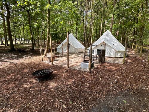 Hoogstraten Otro | Privé Alpaca Glamping Hoogstraten