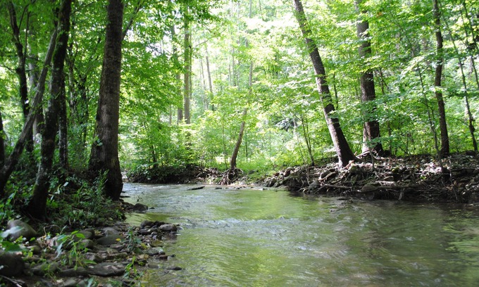 Pigeon Forge Cabina | Creekside Chalet, excelente para grupos grandes, 2 MLS a Pigeon Forge Parkway💟