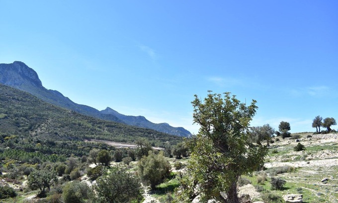 Arapkoy Villa | Villa familiar privada en Arapkoy