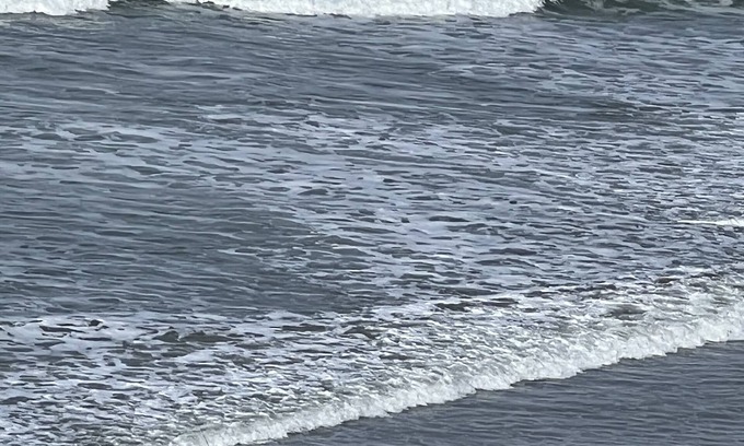 Newport Casa | Private ocean view cottage in Nye Beach area of NEWPORT