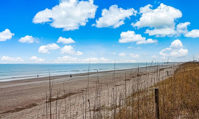 Fernandina Beach Apartamento | Privado frente al mar, Se aceptan mascotas, Una habitación