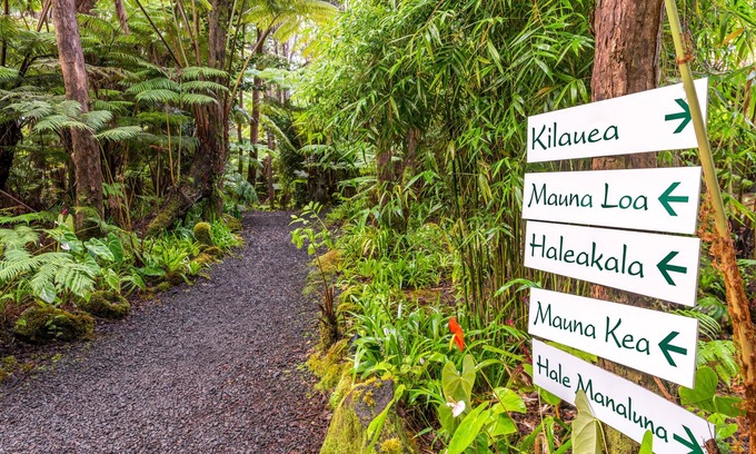 Volcano Cama Y Desayuno | Private Rainforest Retreat in Volcano Village