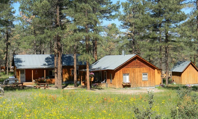 Winston Cabina | Private Ranch Experience in the Gila National Forest, New Mexico!
