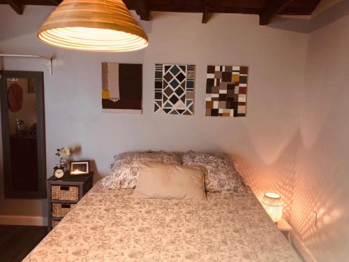 Coral Way Apartamento | Private Studio Cabin steps from Calle 8
