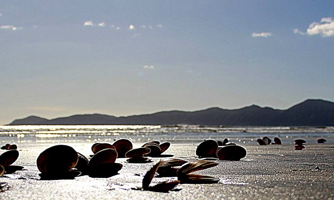 Raumati South Apartamento | Estudio privado y acogedor, a 1 minuto a pie de la playa