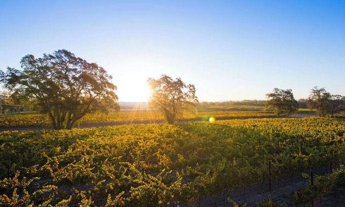 Windsor Otro | Private Vineyard Residence - 10 minutes from Healdsburg