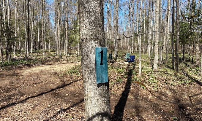 Beulah Alquiler De RV | Private Wooded Campsite for Tents or Small RV's #2