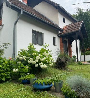 Gornja Toplica Casa | Privatni smeštaj Sobe Branković