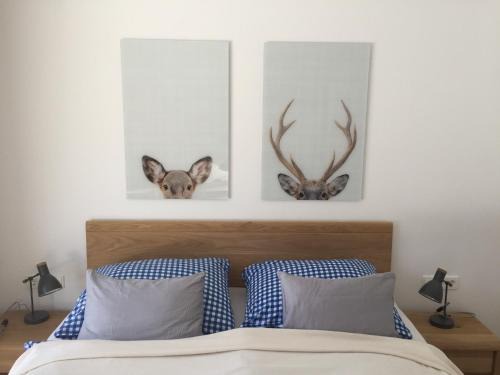 Hinterstoder Apartamento | Privatwohnung am Prielerweg in Hinterstoder
