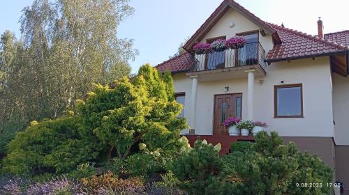 Piechowice Apartamento | Przytulne Studio Borówkowy Zagajnik