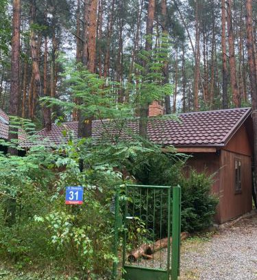 Kozienice Casa | Przytulny domek w lesie blisko rzeki