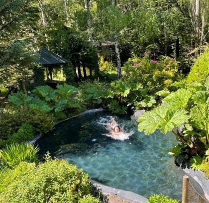 Pucon Cabina | Pucón Magic forest