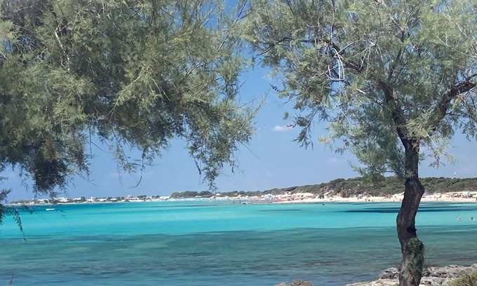 Punta Prosciutto Cama Y Desayuno | Punta Prosciutto Angel Bay B&B