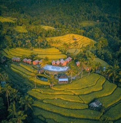 Munduk Cabina | Puri Sunny Camp
