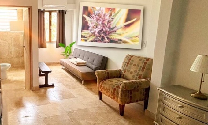Hato Abajo Cama Y Desayuno | Purple Haze @BednBongExp