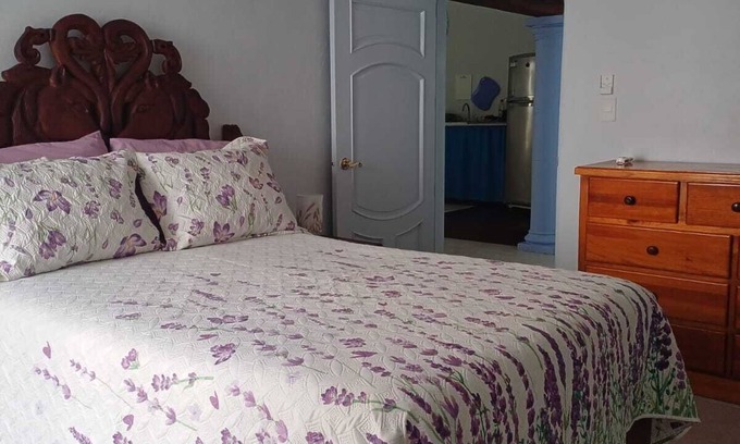 Colonia Adolfo Lopez Mateos Apartamento | PURPLE LOTUS COZUMEL fibre optics WIFI, A/C Pool. Walking distance to town.