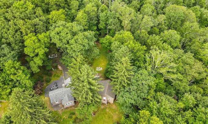 Canadensis Cabaña | Quaint dog-friendly cottage with updated interior, firepit, large patio & WiFi