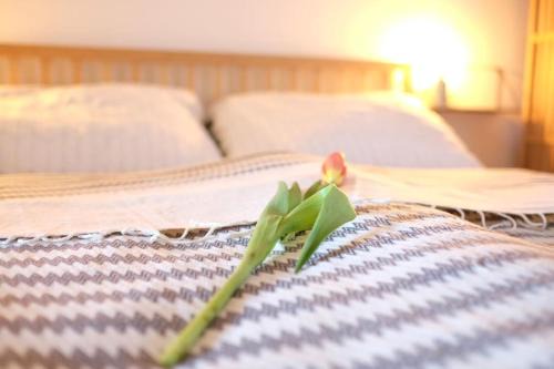 Guessing Apartamento | Quartier Romantikum