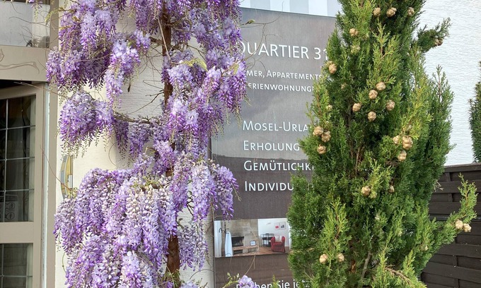 Lieser Apartamento | Quartier31
