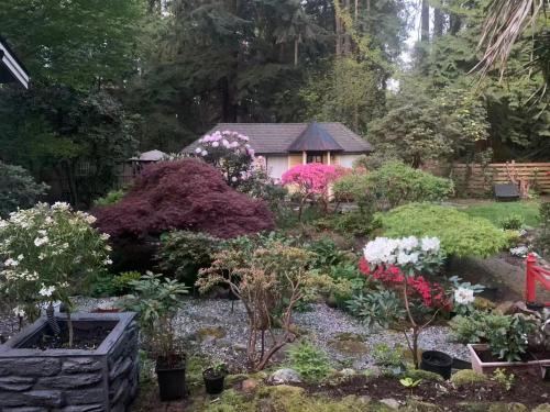 Edgemont Chalet De Esquí | Quiet Backyard Cabin