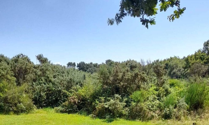 Sulniac Chalet De Esquí | Quiet chalet near the Gulf of Morbihan